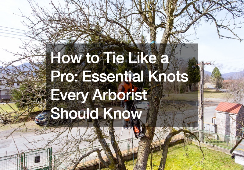 How to Tie Like a Pro Essential Knots Every Arborist Should Know